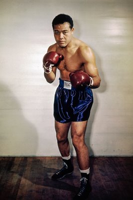 Joe Louis Portrait