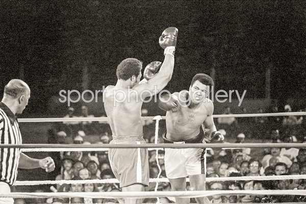 Muhammad Ali v George Foreman Rumble in the Jungle 1974