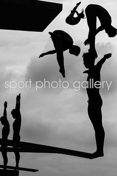  World Aquatics Championships World Press Photo 2012