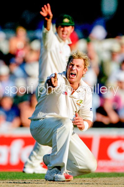 Shane Warne appeals 