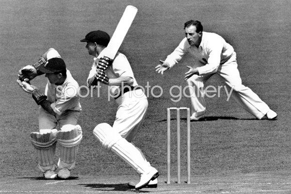 Don Bradman 1948