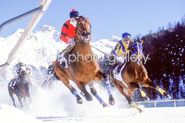 Horse racing on snow 