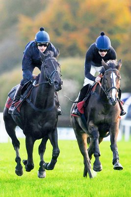 Kauto Star and Big Bucks Exeter Races 2011