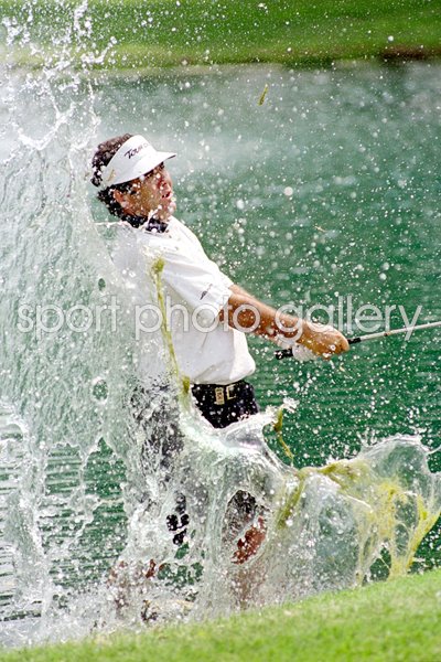 David Frost hits out of a water 