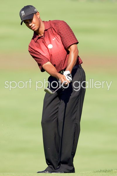 Tiger Woods Control