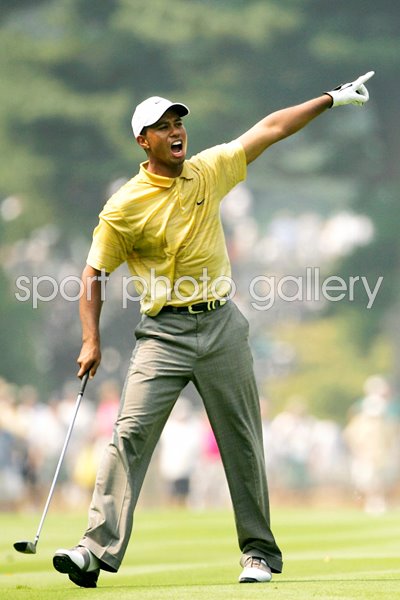 Tiger Woods 