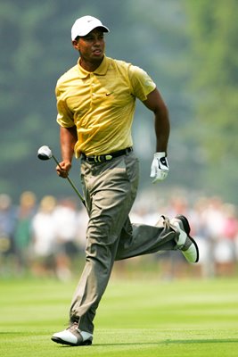 Tiger Woods 