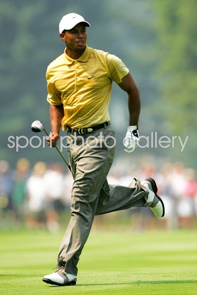 Tiger Woods 