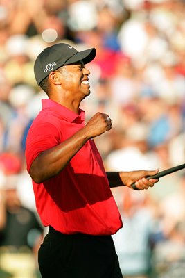 Tiger Woods celebrates Medinah win