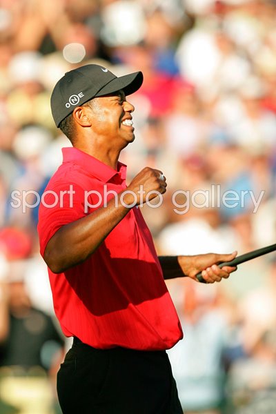 Tiger Woods celebrates Medinah win