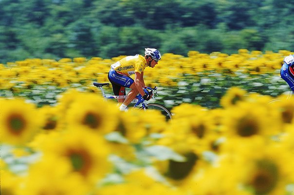 Lance Armstrong Sunflowers