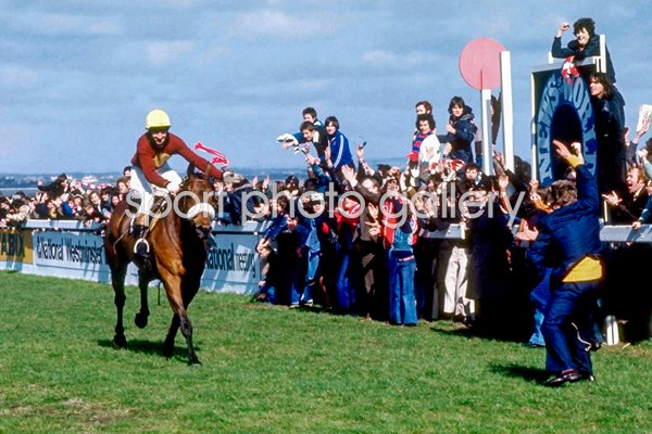 Red Rum 1977 Grand National