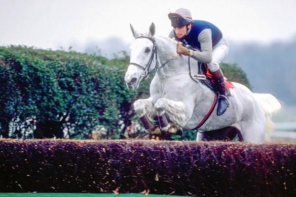 Desert Orchid 1989