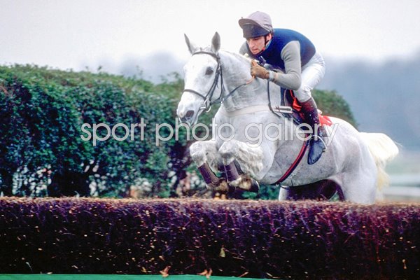 Desert Orchid 1989