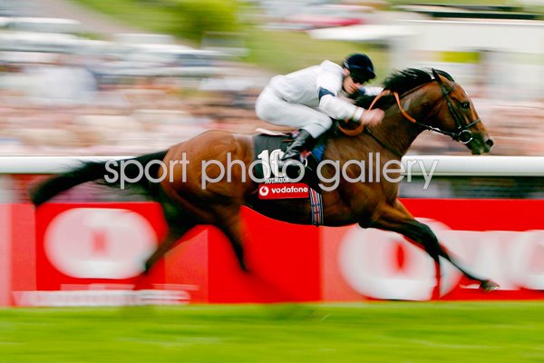 Motivator wins 2005 Derby