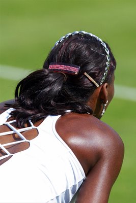 Venus Williams In New Dress