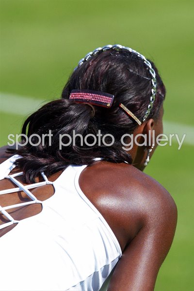 Venus Williams In New Dress