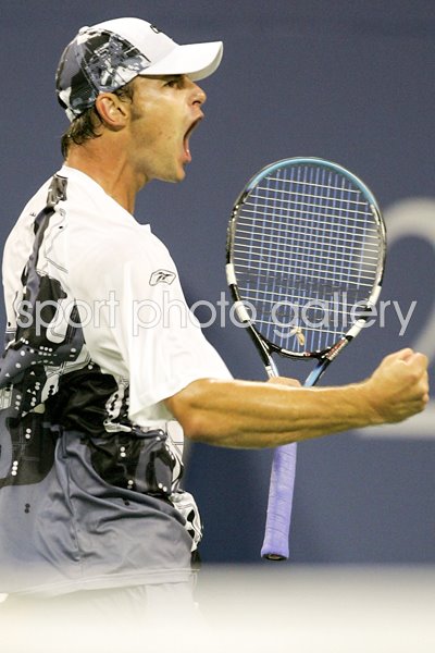 Andy Roddick celebrates US Open