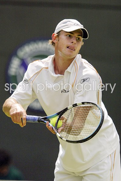 Andy Roddick Prepares to Serve