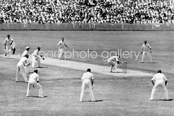 W M Woodfull ducks Larwood bouncer Bodyline 1932