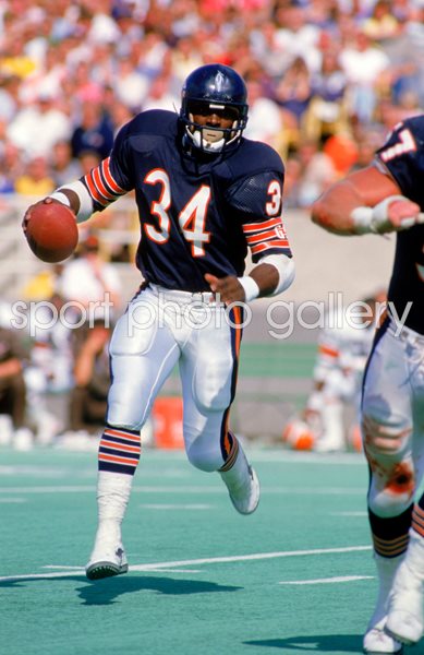 Walter Payton Chicago Bears Soldier Field