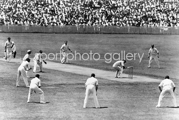 1932/3 BODYLINE ASHES WOODFULL DUCKS LARWOOD BOUNCER