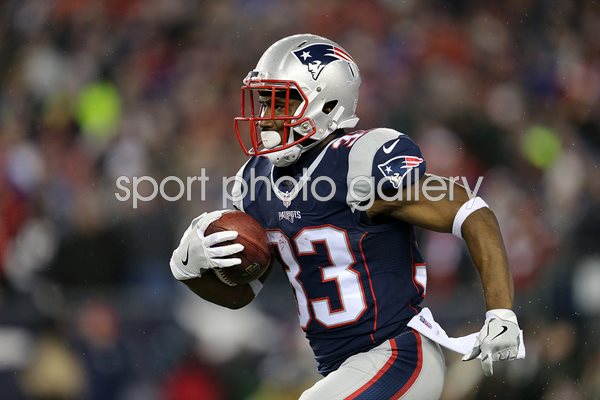 Dion Lewis New England Patriots AFC Championship 2017