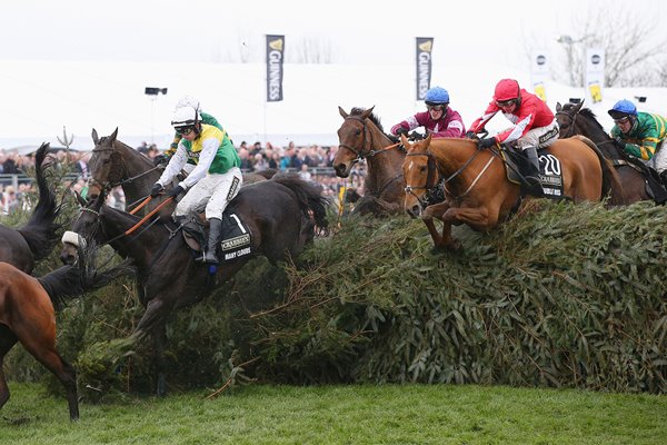 Many Clouds 2016 Crabbie's Grand National