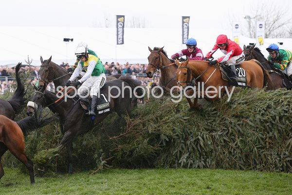 Many Clouds 2016 Crabbie's Grand National