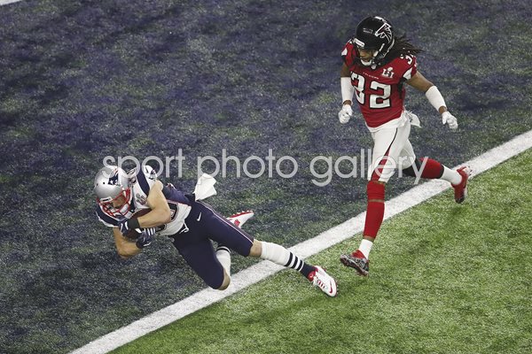 Danny Amendola New England Patriots Super Bowl 2017