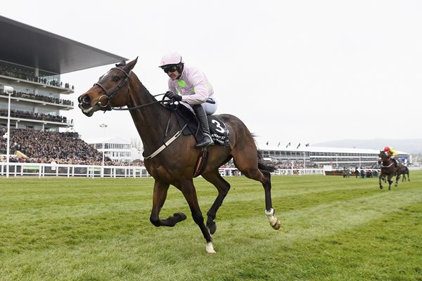 Ruby Walsh riding Douvan 2016 Cheltenham Festival 