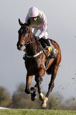 Ruby Walsh riding Douvan Punchestown 2016