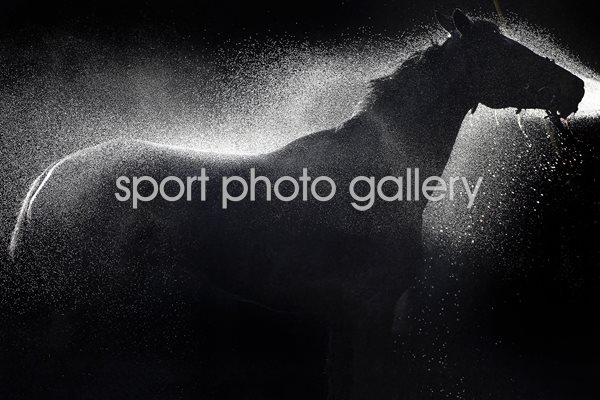 Rons Dream is hosed down