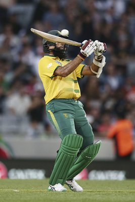 Hashim Amla South Africa v New Zealand T20 2017