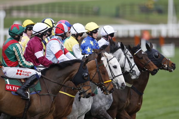 Race Start Cheltenham Festival 2017