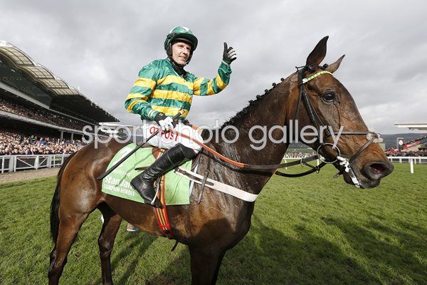 Buveur D'Air & Noel Fehily win Champion Hurdle Cheltenham 2017