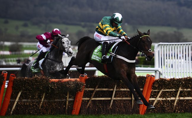 Buveur D'Air & Noel Fehily win Champion Hurdle Cheltenham 2017