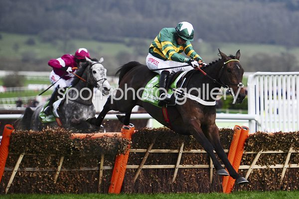 Buveur D'Air & Noel Fehily win Champion Hurdle Cheltenham 2017
