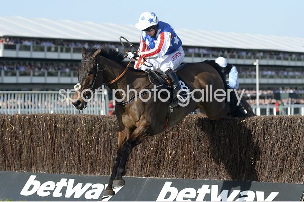 Noel Fehily & Special Tiara Queen Mother Champion Chase 2017