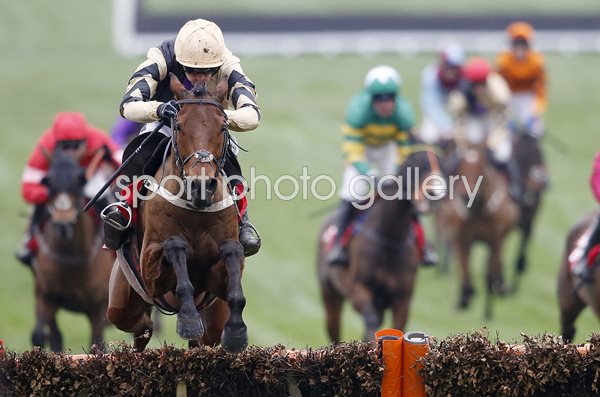 Ruby Walsh & Nichols Canyon win Stayers Hurdle Cheltenham 2017