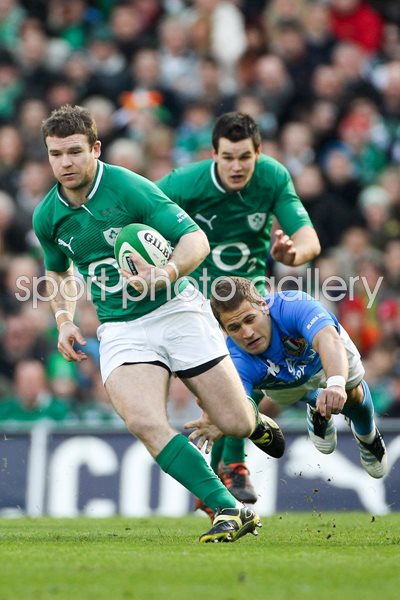 Gordon D'Arcy Ireland v Italy 2012