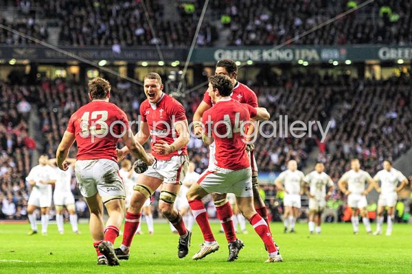 Wales celebrate final whistle v England 2012