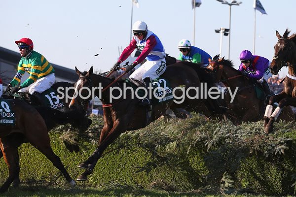 Derek Fox One For Arthur 2017 Grand National