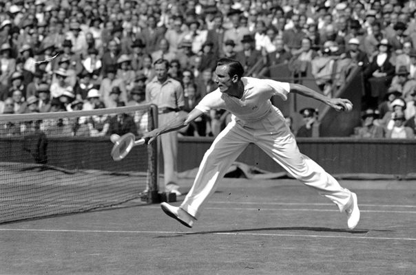 Fred Perry Wimbledon Tennis Champion