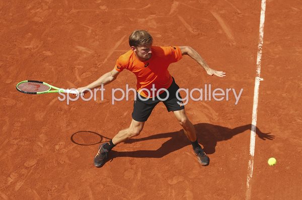 David Goffin Belgium 2017 French Open Paris