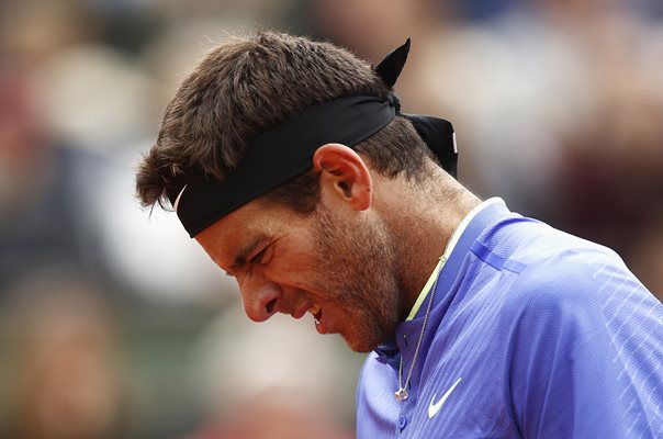 Juan Martin Del Potro 2017 French Open 