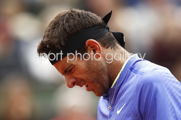Juan Martin Del Potro 2017 French Open 