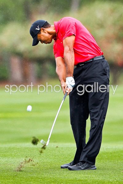 Tiger Woods Honda Classic 2012