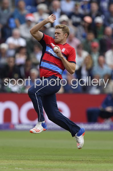 David Willey England v South Africa T20 Cardiff 2017