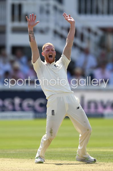 Ben Stokes England appeals v South Africa Lord's 2017